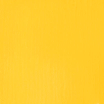 Liquitex Professional Heavy Body Akrilik Boya 59ml Cadmium Yellow Light 160 S3