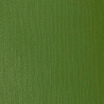 Liquitex Professional Heavy Body Akrilik Boya 59ml Chromium Oxide Green 166 S2