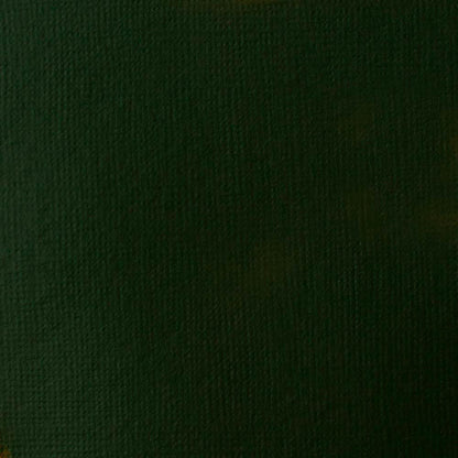Liquitex Professional Heavy Body Akrilik Boya 59ml Hooker’s Green Deep Hue Permanent 225 S1