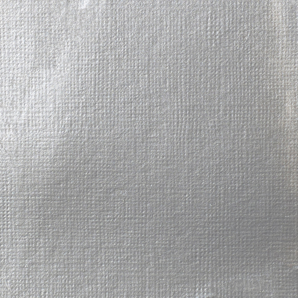 Liquitex Professional Heavy Body Akrilik Boya 59ml Iridescent Bright Silver 236 S2