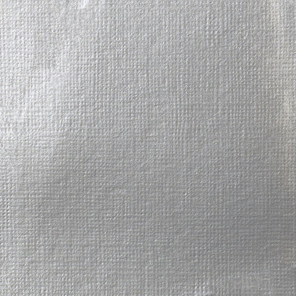 Liquitex Professional Heavy Body Akrilik Boya 59ml Iridescent Bright Silver 236 S2