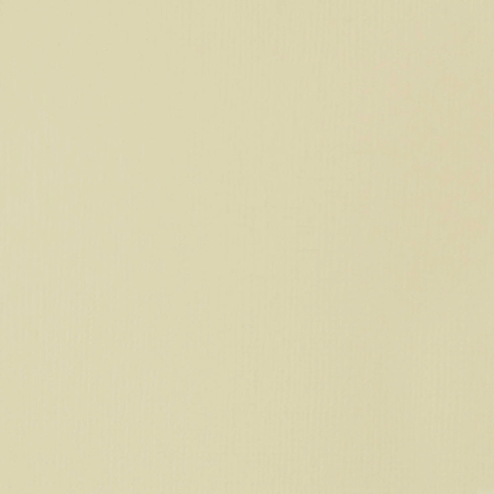 Liquitex Professional Heavy Body Akrilik Boya 59ml Parchment 436 S1