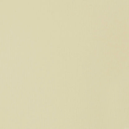 Liquitex Professional Heavy Body Akrilik Boya 59ml Parchment 436 S1