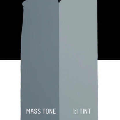 Liquitex Basics Akrilik Boya 118ml Blue Gray 142