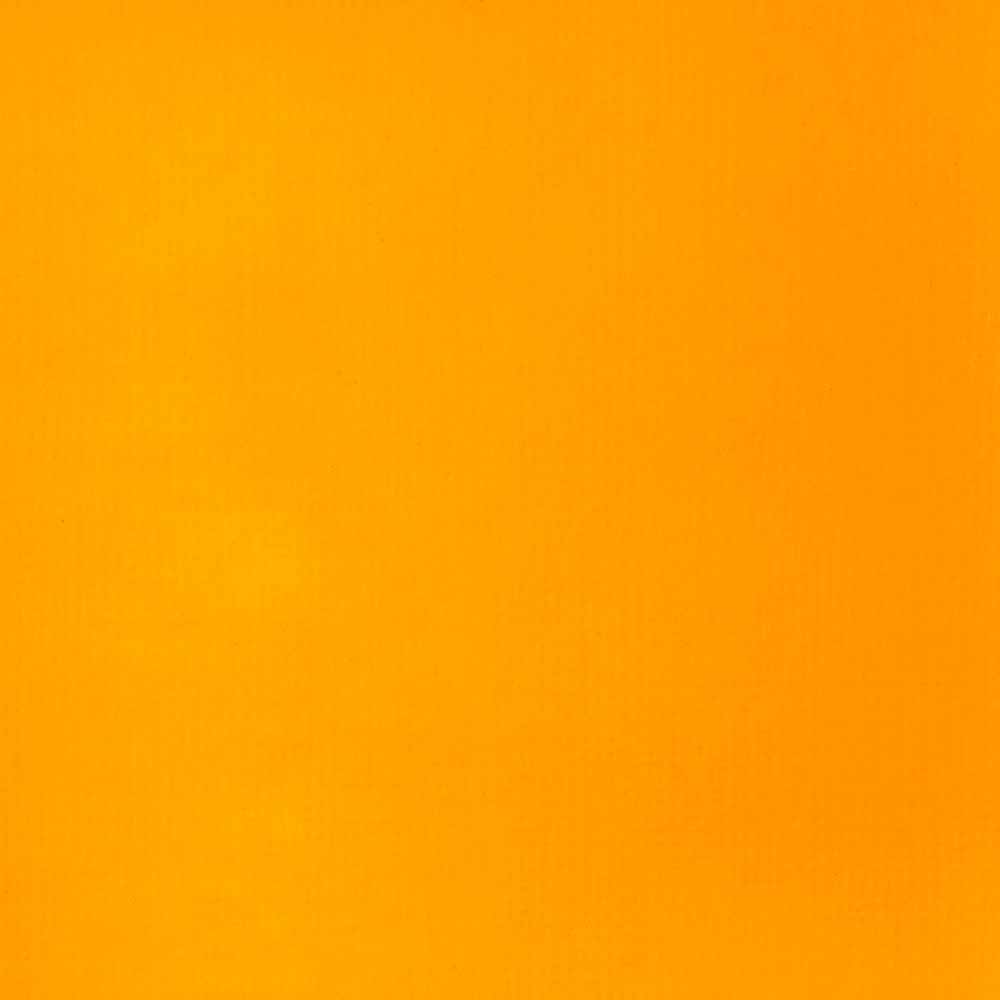 Liquitex Basics Akrilik Boya 118ml Cadmium Yellow Deep Hue 163