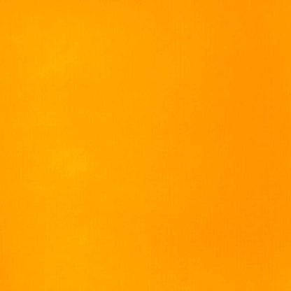 Liquitex Basics Akrilik Boya 118ml Cadmium Yellow Deep Hue 163