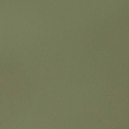 Liquitex Basics Akrilik Boya 118ml Green Gray 205