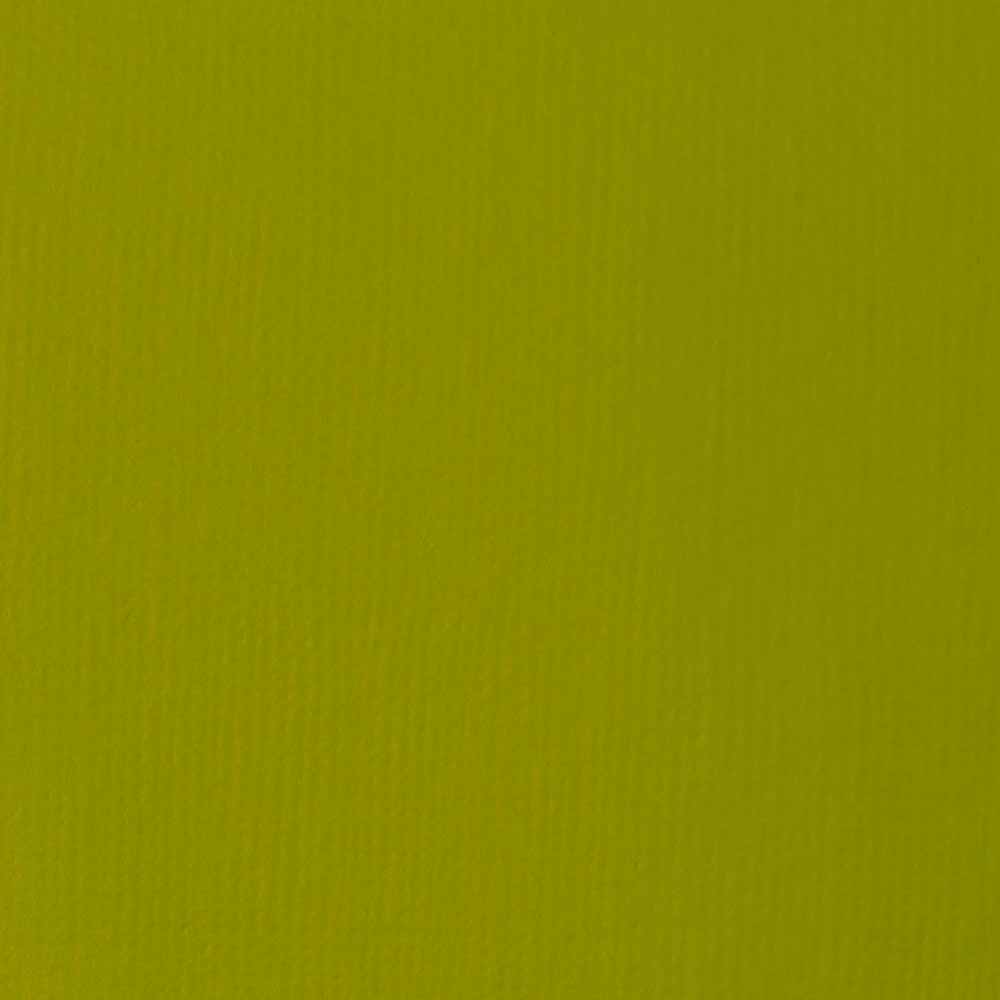 Liquitex Basics Akrilik Boya 118ml Light Olive Green 218
