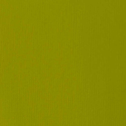 Liquitex Basics Akrilik Boya 118ml Light Olive Green 218