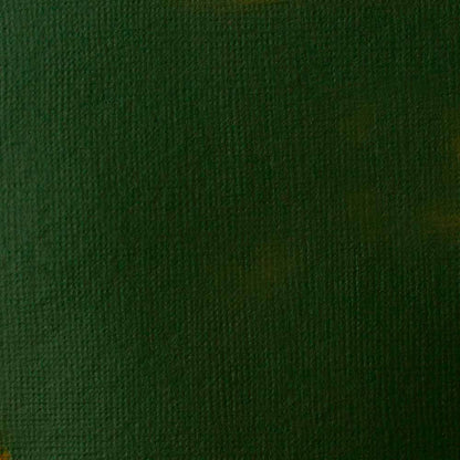 Liquitex Basics Akrilik Boya 118ml Hooker’s Green Hue Permanent 224