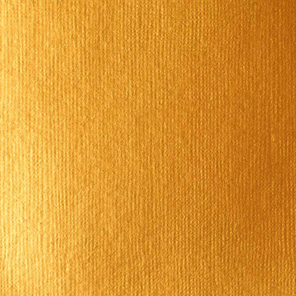 Liquitex Basics Akrilik Boya 118ml Gold 51