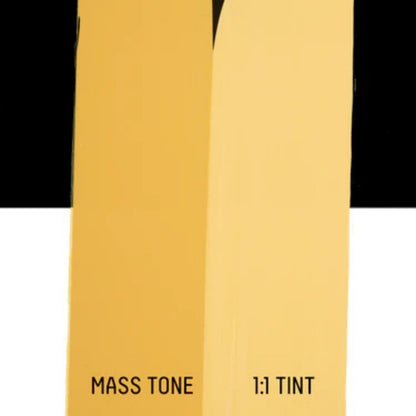 Liquitex Basics Akrilik Boya 118ml Naples Yellow Hue 601