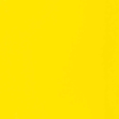 Liquitex Basics Akrilik Boya 118ml Fluorescent Yellow 981
