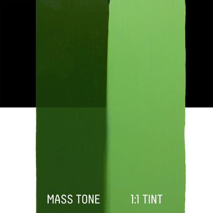 Liquitex Professional Soft Body Akrilik Boya 946ml Hooker’s Green Hue Permanent 224 S1