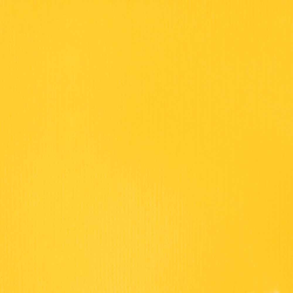 Liquitex Professional Soft Body Akrilik Boya 946ml Cadmium-Free Yellow Light 889 S3