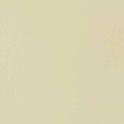 Liquitex Professional Soft Body Akrilik Boya 59ml Parchment 436 S1