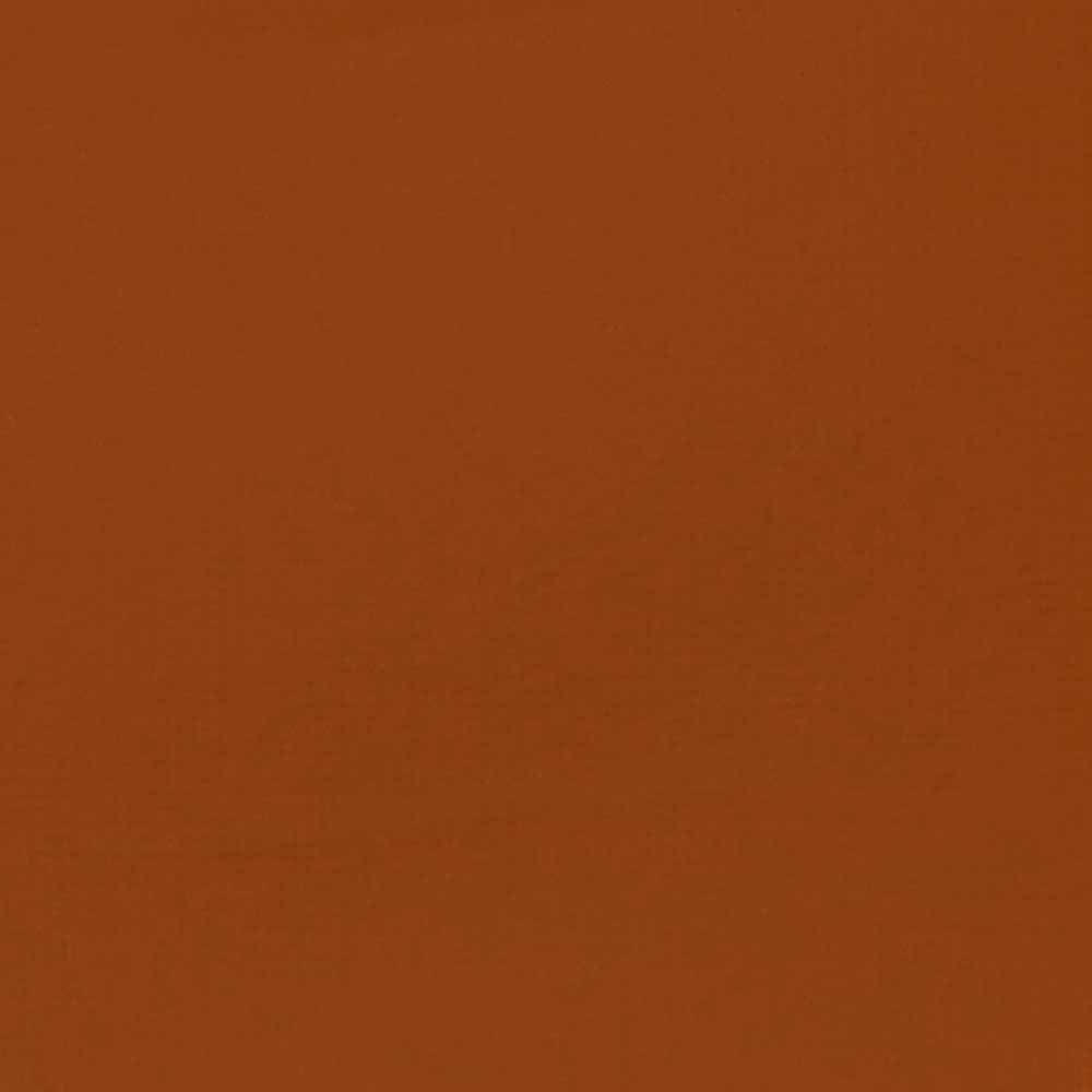 Liquitex Professional Akrilik Guaj Boya 59ml Raw Sienna 330 S1