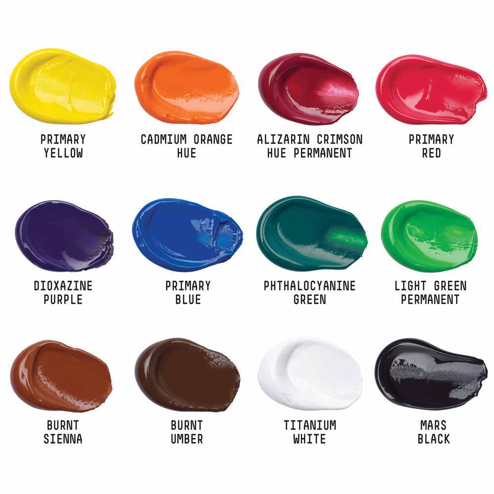 Liquitex Basics Akrilik Boya Seti 12x22ml