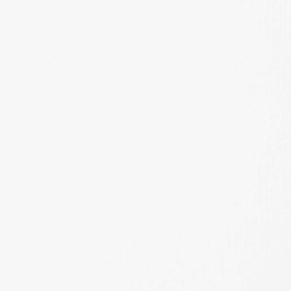 Liquitex Basics Akrilik Boya 946ml Titanium White 432