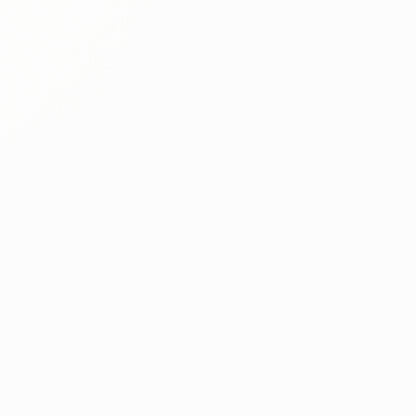 Liquitex Professional Heavy Body Akrilik Boya 946ml Titanium White 432 S1