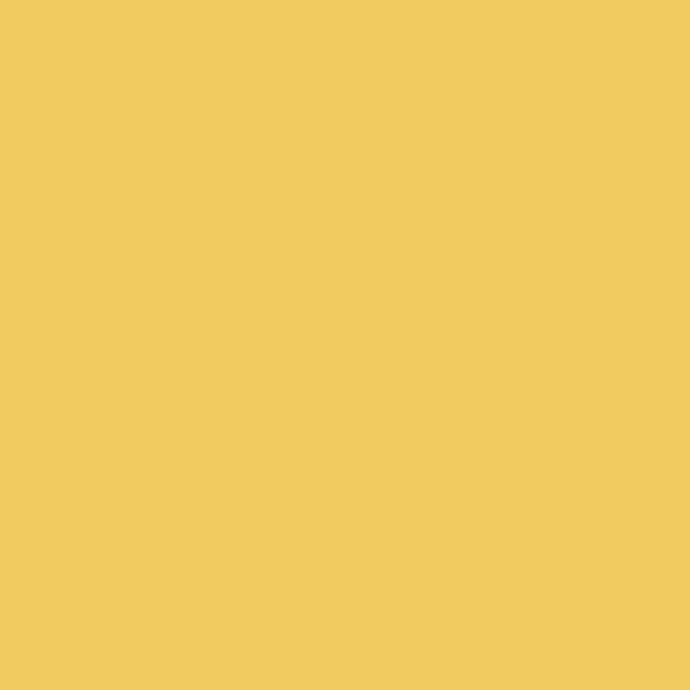 Liquitex Professional Akrilik Sprey Boya 400ml Cadmium Yellow Deep Hue 163 S1