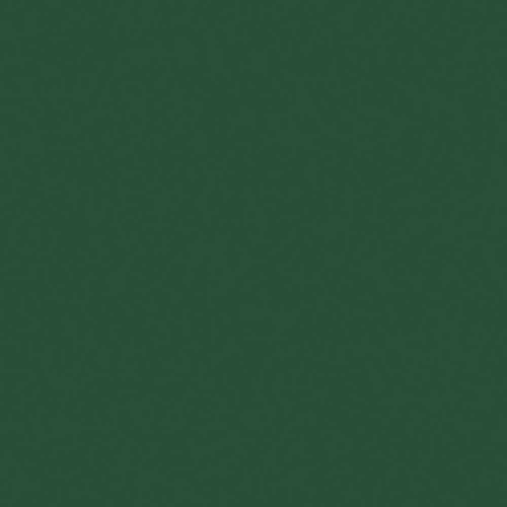 Liquitex Professional Akrilik Sprey Boya 400ml Hooker's Green Hue Permanent 224 S1