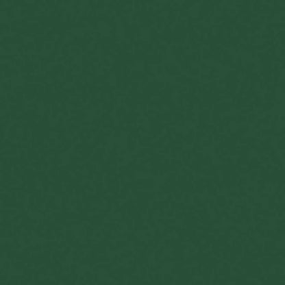 Liquitex Professional Akrilik Sprey Boya 400ml Hooker's Green Hue Permanent 224 S1