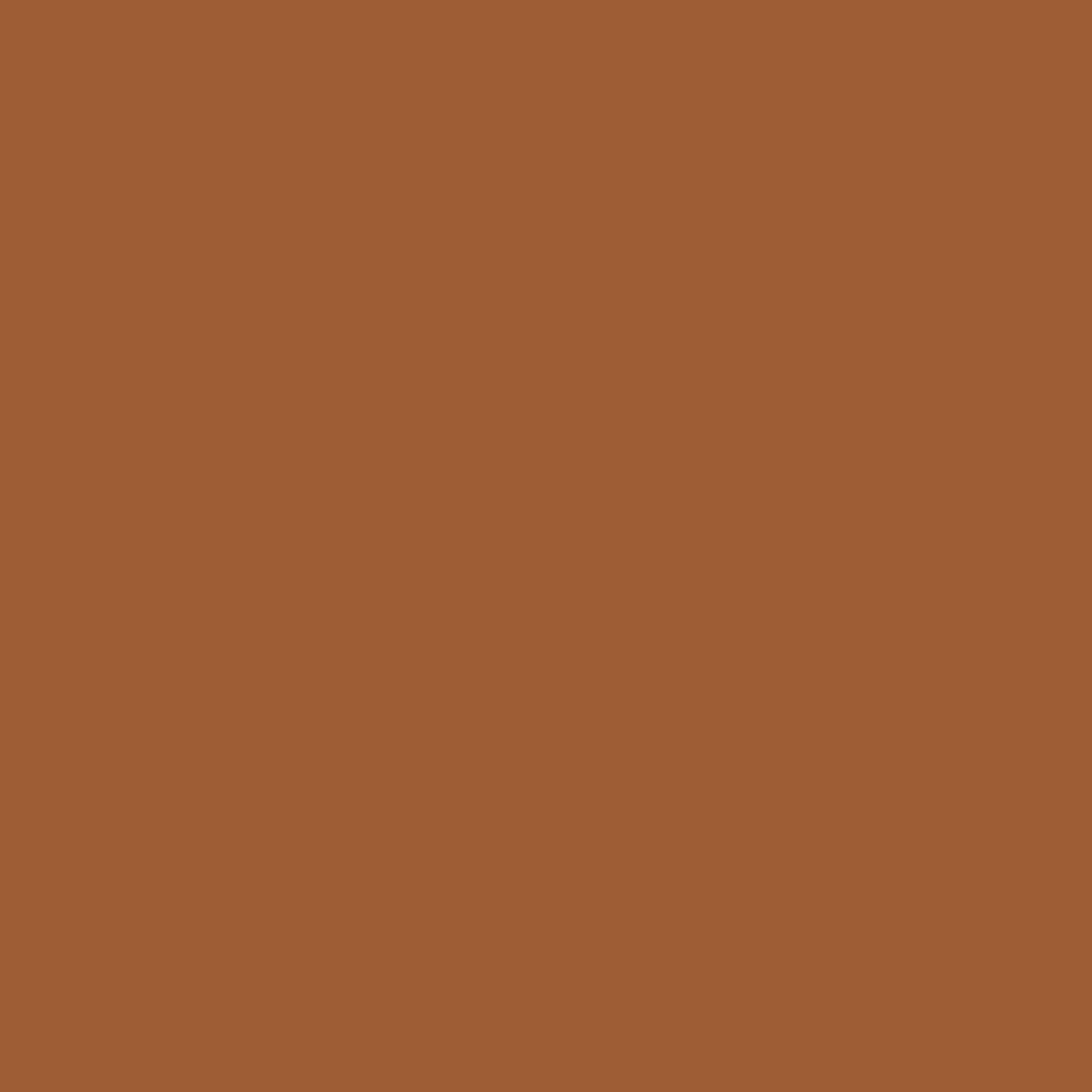 Liquitex Professional Akrilik Sprey Boya 400ml Raw Sienna 330 S1