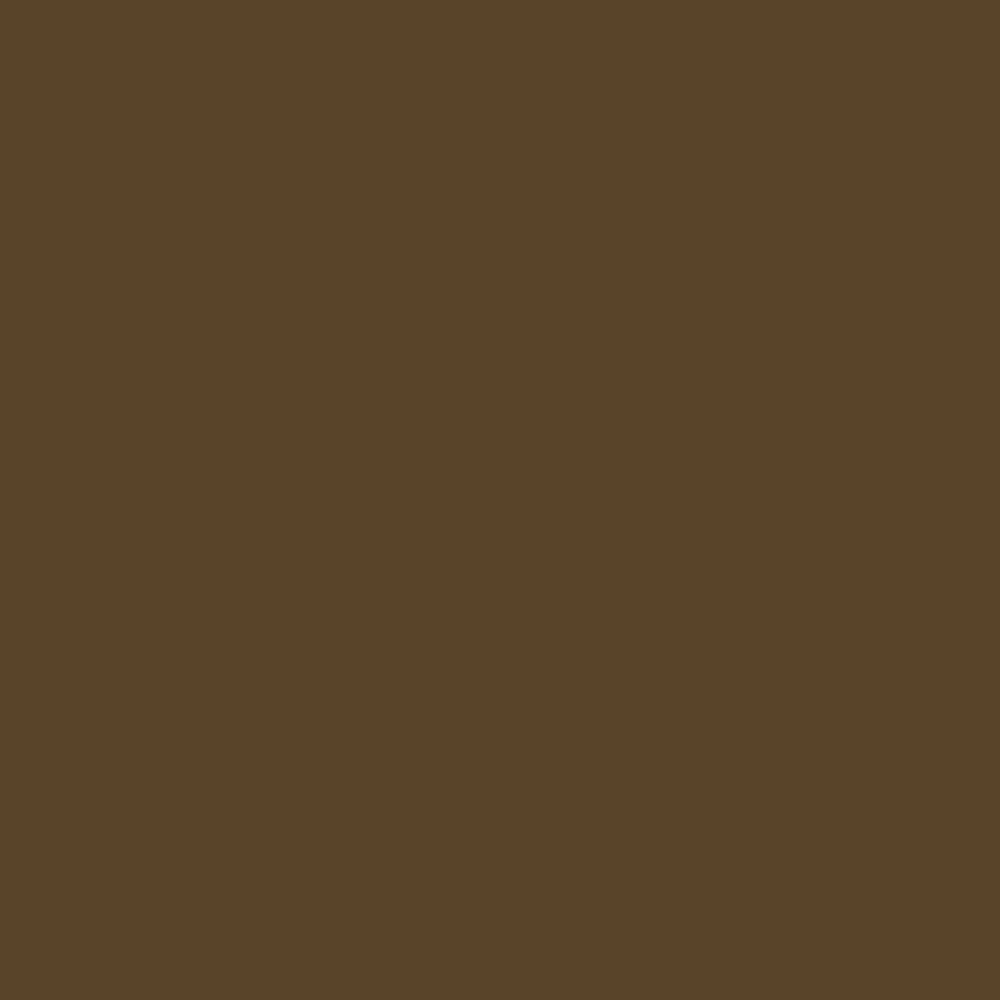 Liquitex Professional Akrilik Sprey Boya 400ml Raw Umber 331 S1