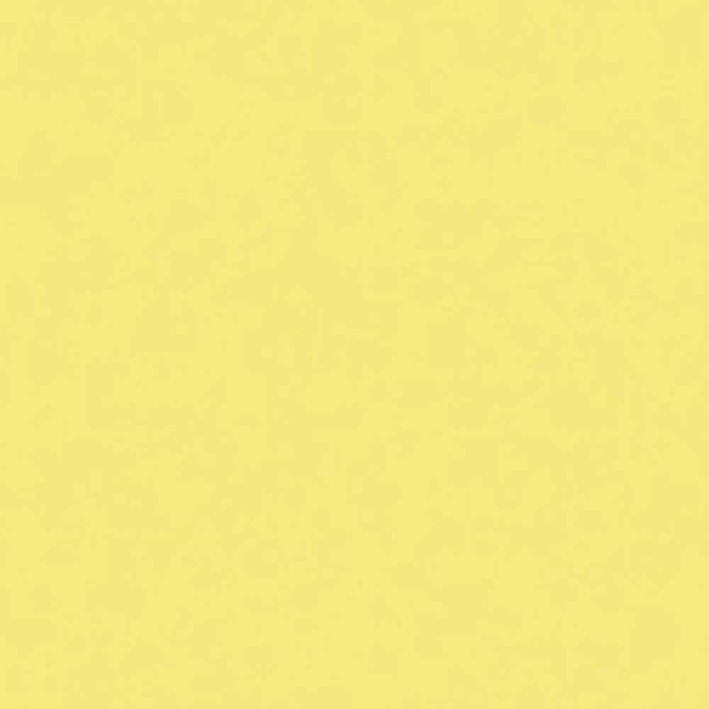 Liquitex Professional Akrilik Sprey Boya 400ml Cadmium Yellow Light Hue 6 6159 S1