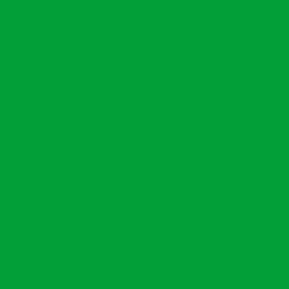 Liquitex Professional Akrilik Markör Kesik Uç 15mm Light Green Permanent 312