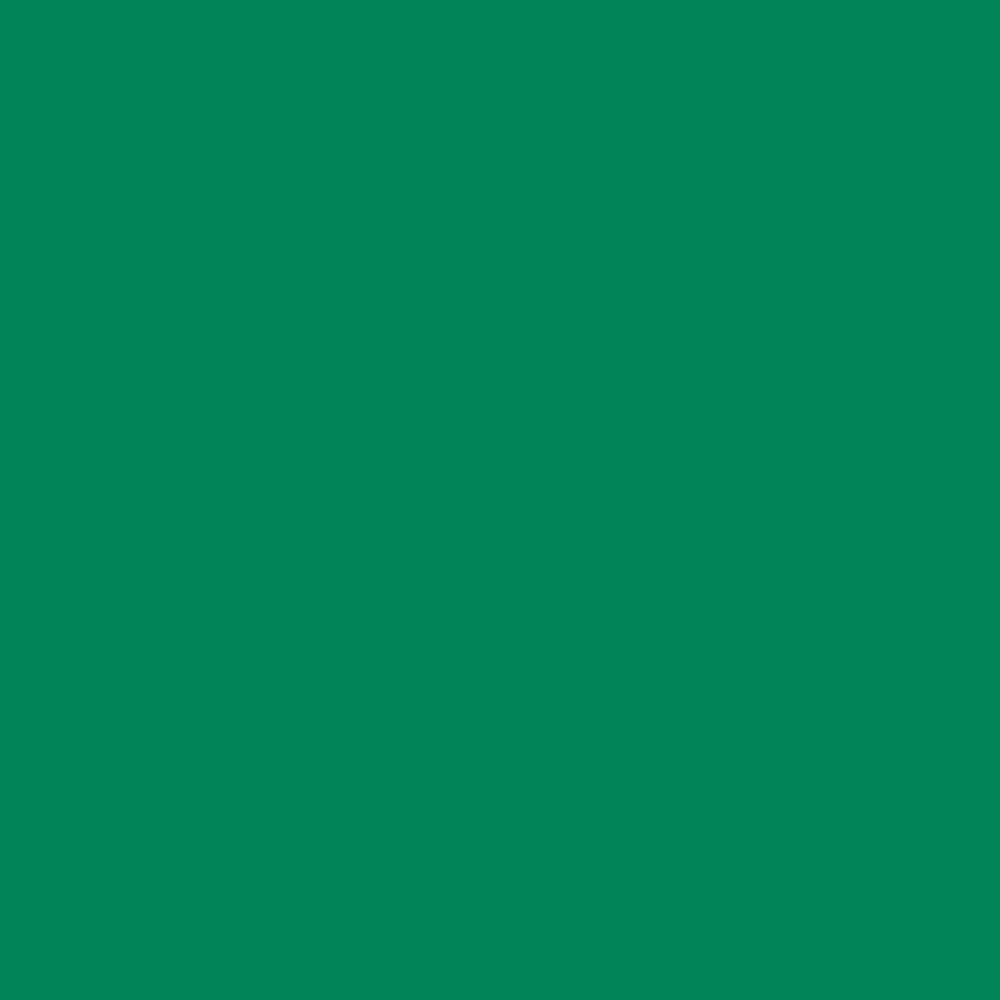 Liquitex Professional Akrilik Markör İnce Uç 2mm Emerald Green 450