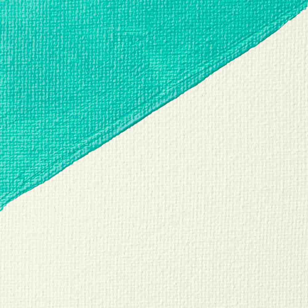 Liquitex Professional Akrilik Beyaz Zemin Astarı Gesso 473ml