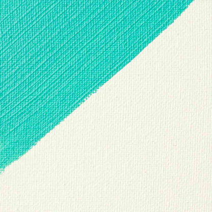 Liquitex Professional Acrylic Şeffaf Zemin Astarı Gesso 237ml