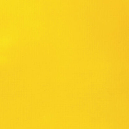 Liquitex Basics Fluid Akrilik Boya 118ml Cadmium Yellow Medium Hue 830