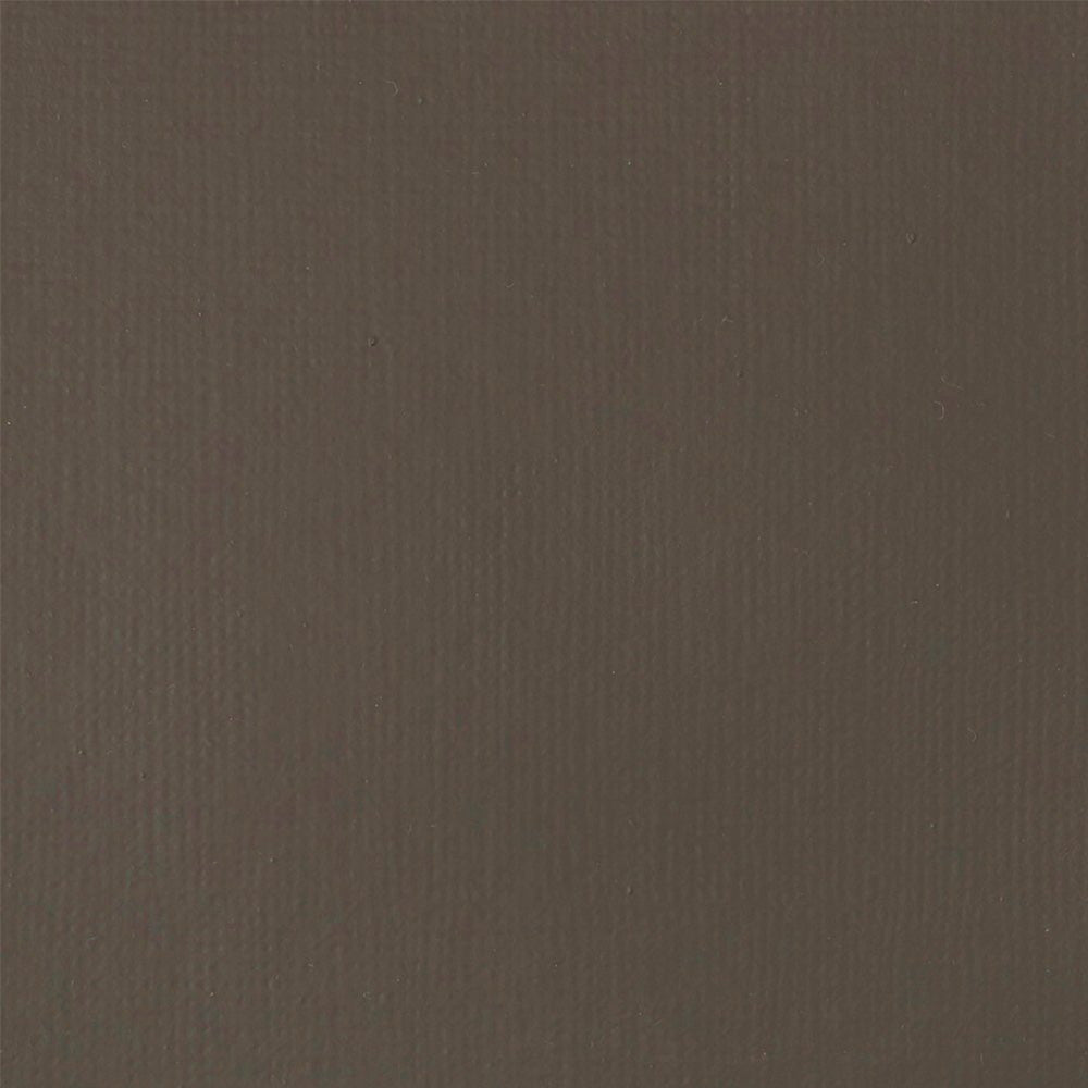 Liquitex Basics Fluid Akrilik Boya 118ml Raw Umber 331