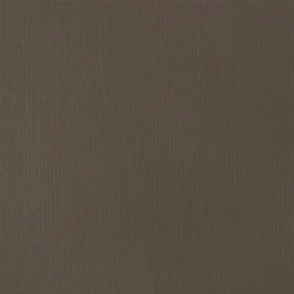 Liquitex Basics Fluid Akrilik Boya 118ml Raw Umber 331