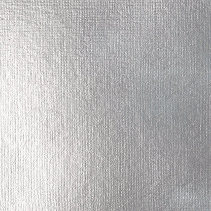 Liquitex Basics Fluid Akrilik Boya 118ml Silver 052 S.2