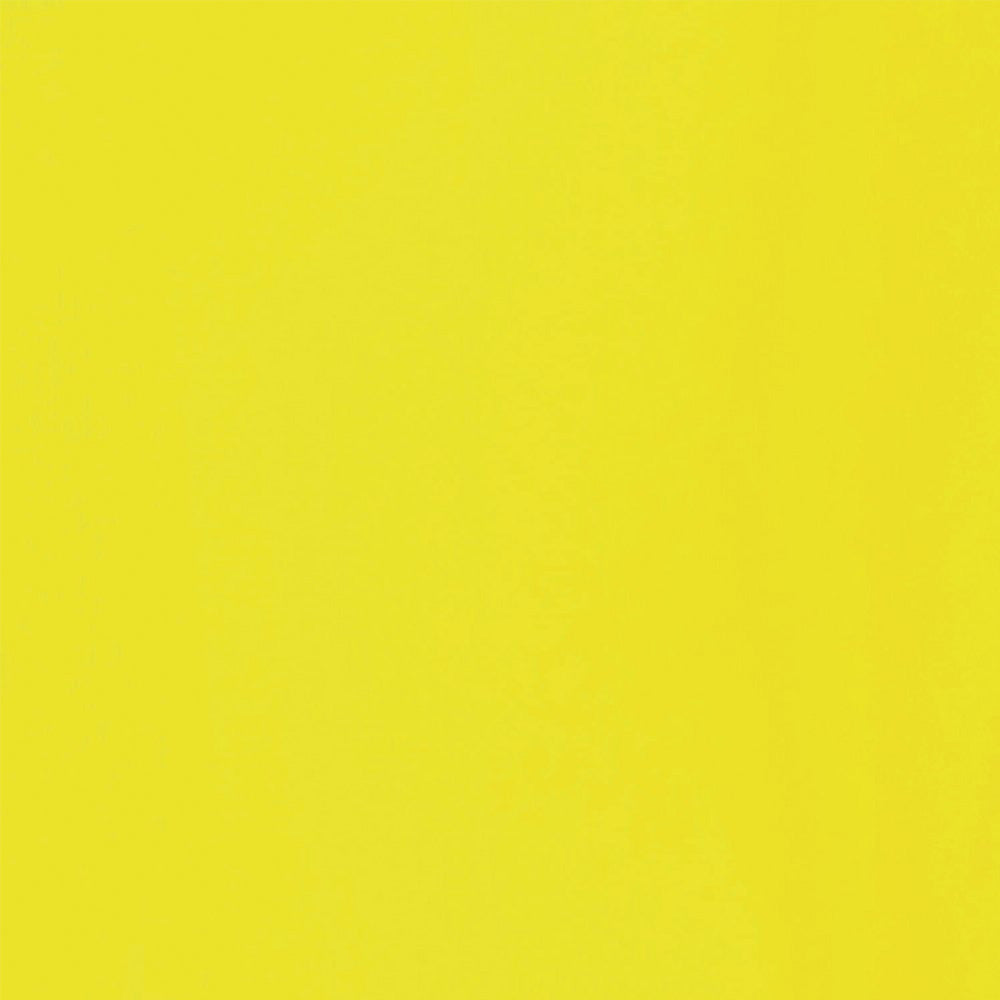 Liquitex Basics Fluid Akrilik Boya 118ml Fluorescent Yellow 981 S.2