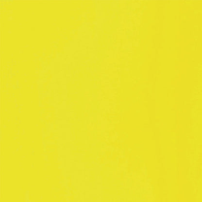 Liquitex Basics Fluid Akrilik Boya 118ml Fluorescent Yellow 981 S.2