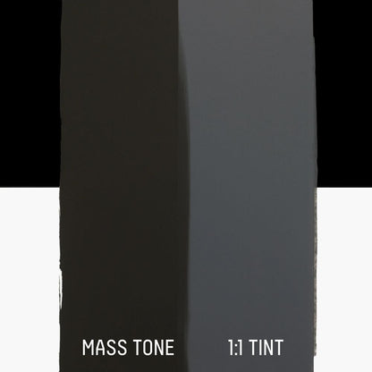 Liquitex Basics Fluid Akrilik Boya 250ml Mars Black 276