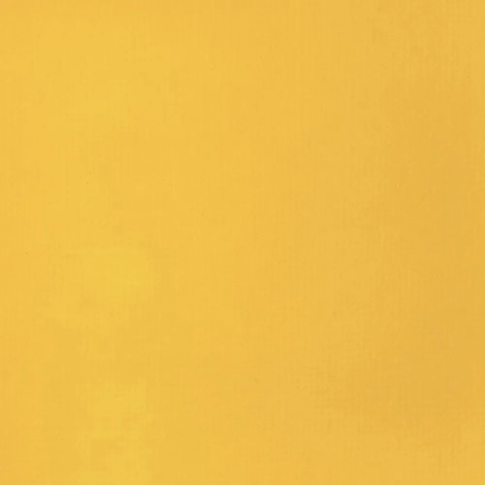 Liquitex Basics Akrilik Boya 22ml Cadmium Yellow Deep Hue 163