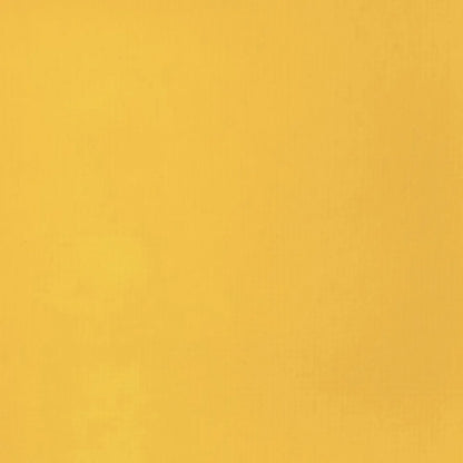 Liquitex Basics Akrilik Boya 22ml Cadmium Yellow Deep Hue 163
