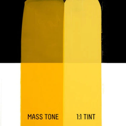 Liquitex Basics Akrilik Boya 22ml Cadmium Yellow Deep Hue 163