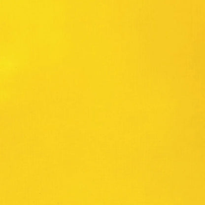 Liquitex Basics Akrilik Boya 22ml Cadmium Yellow Medium Hue 830