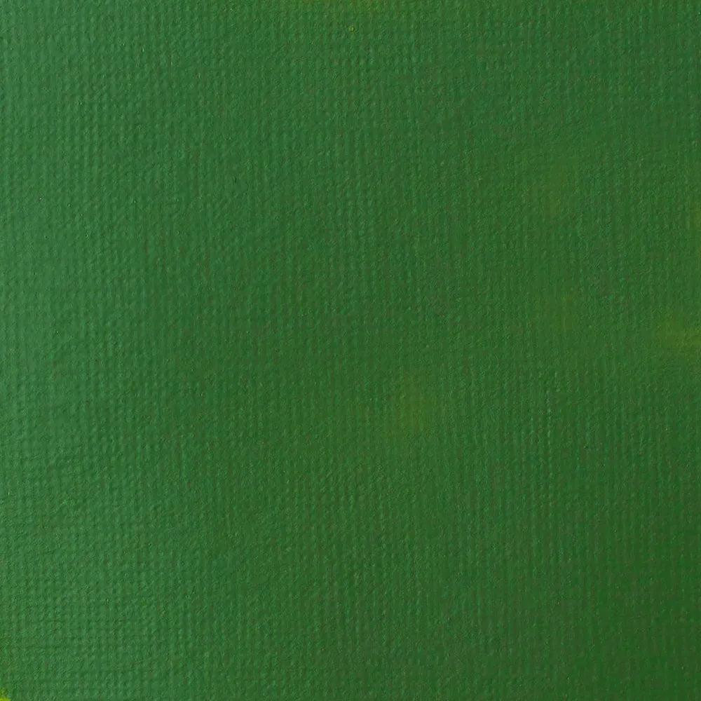 Liquitex Basics Akrilik Boya 22ml Hooker’s Green Hue Permanent 224