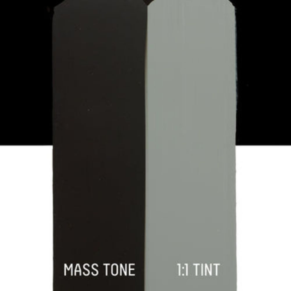 Liquitex Basics Akrilik Boya 22ml Ivory Black 244
