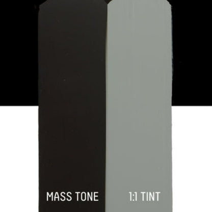 Liquitex Basics Akrilik Boya 22ml Ivory Black 244