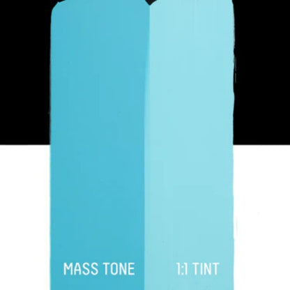 Liquitex Basics Akrilik Boya 22ml Light Blue Permanent 770