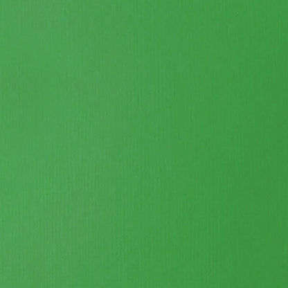 Liquitex Basics Akrilik Boya 22ml Light Green Permanent 312